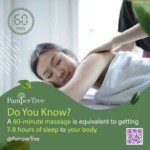 Profile picture of Pamper Tree